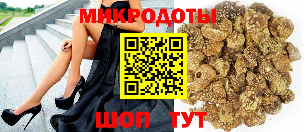 Галлюциногенные грибы GOLDEN TEACHER  закладка  Усть-Илимск  Вход с VPN 